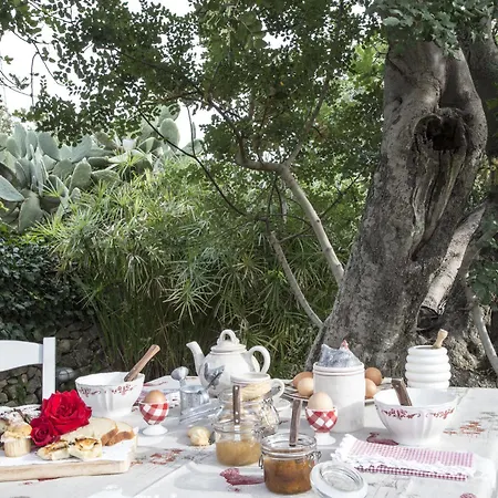 Vakantieboerderij Masseria Ciancio Casa Serrafiori